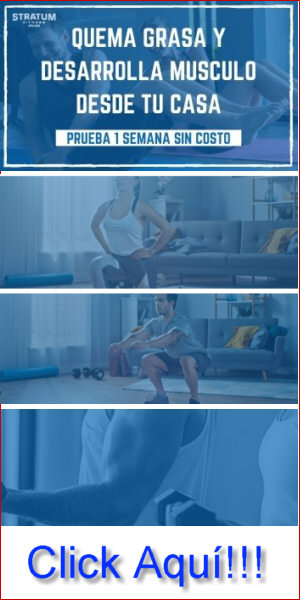Stratum_Fitness_en_linea_GB001